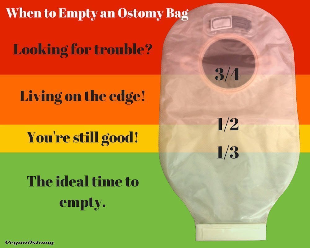 bag ostomy empty stoma colostomy ileostomy often leaking emptying does should help veganostomy seals need visualize handy graphic